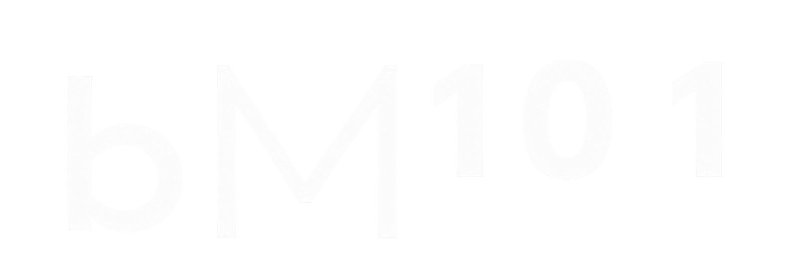 bM 101